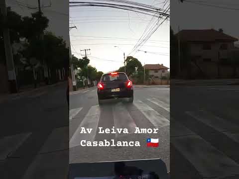 Av leiva amor Casablanca Chile