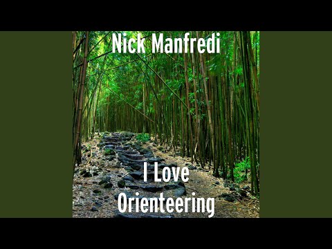 You And Me - Nick Manfredi
