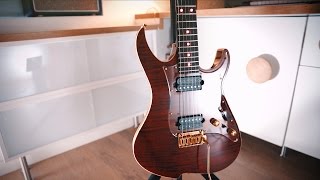 Video thumbnail for Vola Guitar Zenith RV MEM - with LED light inlays! (demo) by Living Room GD