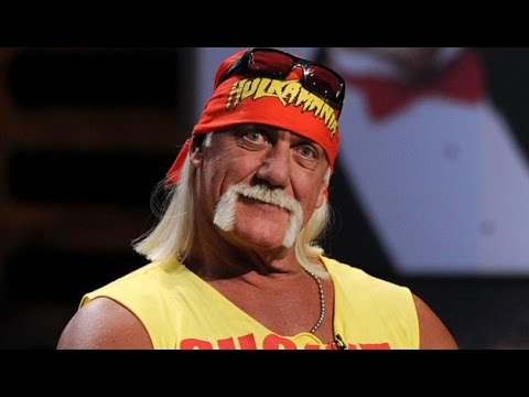Hulk Hogan Racist Audio (2016 leak and transcript)