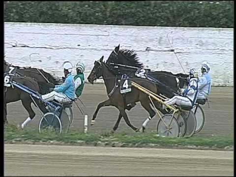 Trotto 19/02/2016 - 1° corsa