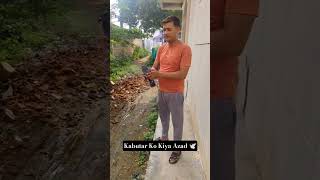 Download lagu ek kabutar ko kiya azad🕊️#kabutar #azad #video #virals #youtub #trending mp3