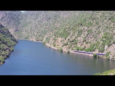 Comboio Especial n.º 20825 (The Presidential) - Ferradosa