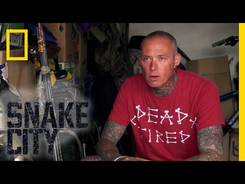 Cobra at the Bait and Tackle | Snake City