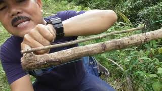 Download lagu hanging traps for various types of birds mp3