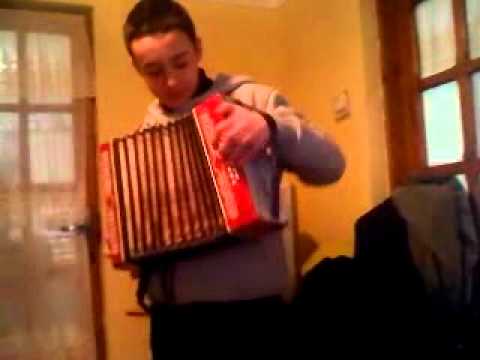 Bebika la acordeon