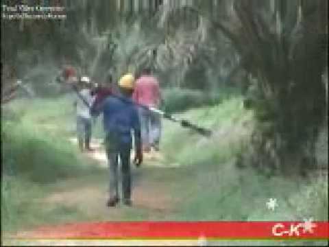 download lagu mp3 mp4 Cantas Advanced Ii Motorized Cutter, download lagu Cantas Advanced Ii Motorized Cutter gratis, unduh video klip Download Cantas Advanced Ii Motorized Cutter Mp3 dan Mp4 Youtube Gratis