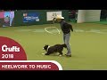 Amazing Cowboy routine in Freestyle Heelwork to Music | Crufts 2018