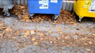 Video Kolona-Volby 2013