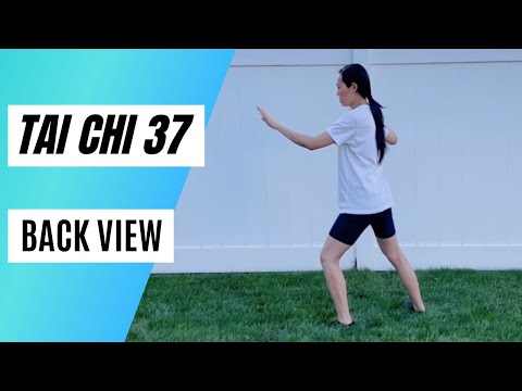 Tai Chi Yang Style 37 Entire Form, Back View Demo Out In Nature
