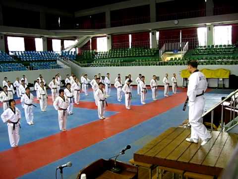 TKD - Basic stances demonstrated at the Kukkiwon