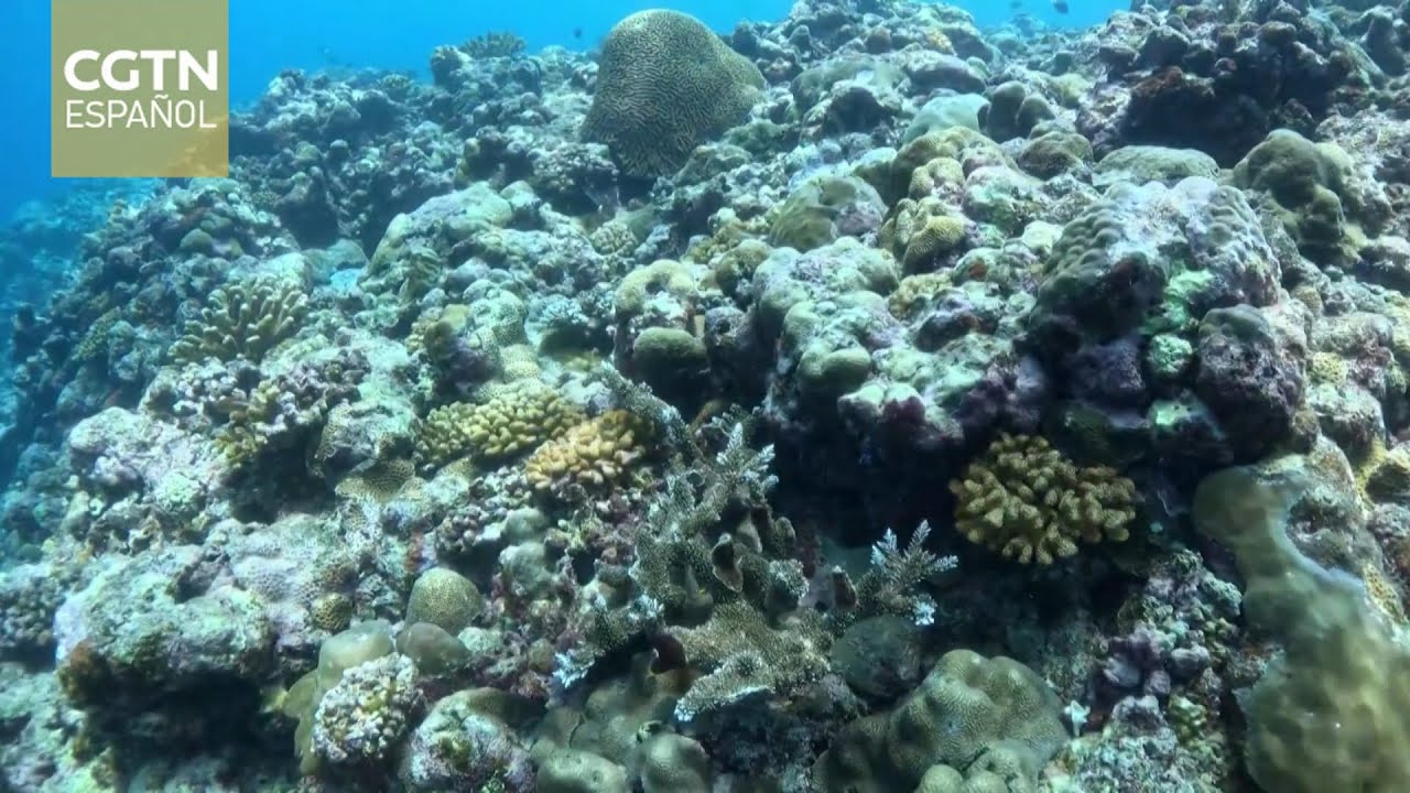 China aprueba la creación de la Reserva Natural Nacional de la Isla Huangyan