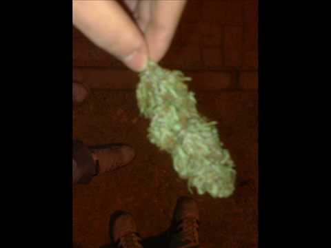 Madface Crew + DJ Darkstep - legalize ganja (DJ Darkstep)