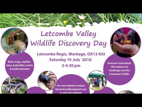 Letcombe Valley Discovery Day 2018