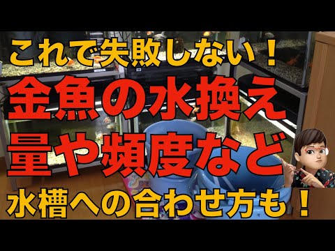 アオカケスを誘引する方法 摂食行動 庭木 低木の種子