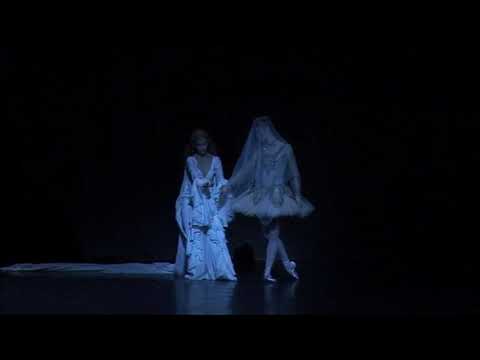 Stephane Bullion - Agnes Letestu, Raymonda Act 1 excerpts
