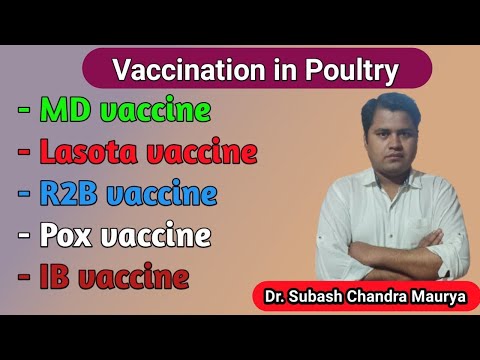 Vaccination schedule in Poultry/Poultry science/Crazy Vet Classes/VO/LDO preparation