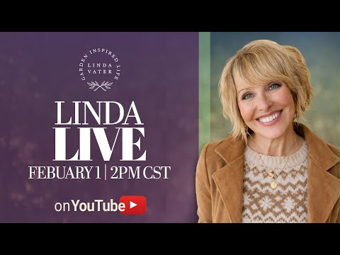 Linda LIVE | Feb 2, 2026