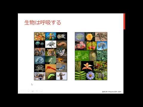 【山口大学／国際総合科学部／模擬授業】「コロナウイルスは生物か？」 生物って何？生きるってどういうこと？