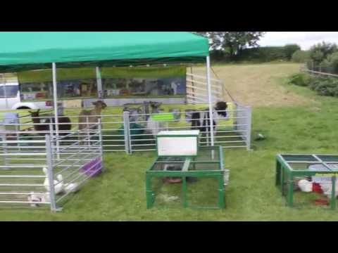 Ian's Mobile Farm, Petting farm covering most of Yorkshire