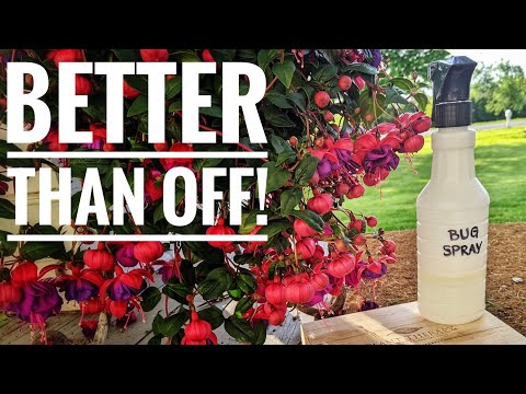 DIY Natural Mosquito & Tick Repellent | Works Amazing, Smells Great, Long Lasting