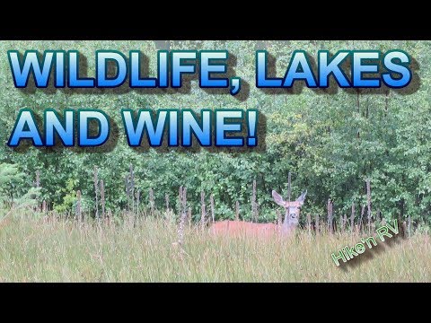 download lagu mp3 mp4 Kentucky Alleyne Provincial Park, download lagu Kentucky Alleyne Provincial Park gratis, unduh video klip Kentucky Alleyne Provincial Park