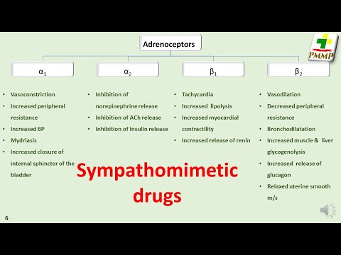 Sympathomimetic drugs, Systemic Pharmacology, S-3.1.1