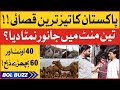 Pakistan Fastest Qasai Camel And Cow Qurbani In 3 Minutes Fastest Qasai Challenge BOL Buzz