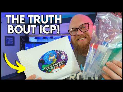 The Truth About ICP Tests in Reef Keeping