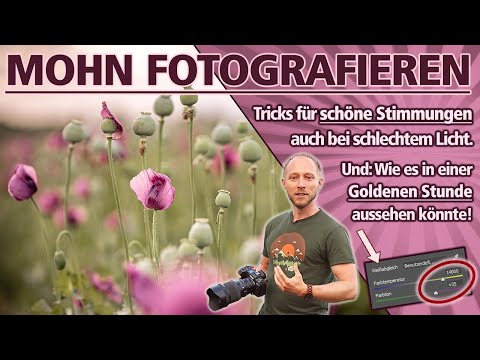 MOHN FOTOGRAFIEREN | Schöne Stimmungen auch bei schlechtem Licht! (Und wie es aussehen könnte ...)