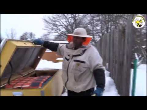 ЗИМНЯЯ ПОДКОРМКА ПЧЁЛ КАНДИ. ПРОСТО  И БЫСТРО  (WINTER FEEDING OF BEES)