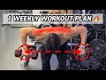 1 Week Gym Routine 5 Day Split Build Muscle Effectively Gymtips Weeklyworkout Workoutplan