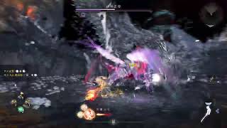 【いきなり悟りで慶安初見】仁王3