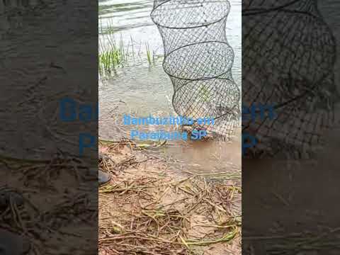 pescaria na represa de Paraibuna SP