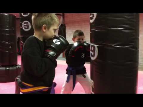 Mma & Kickboxing classes for all levels in Limerick.