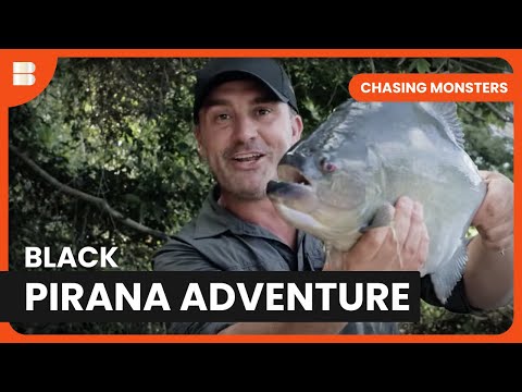 Chasing Black Piranhas - Chasing Monsters - S03 EP04 - Nature & Adventure Documentary