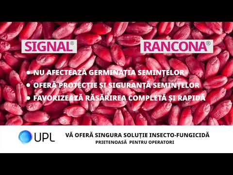 Rancona NEO