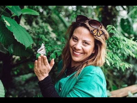 Aneta Langerová - Hříšná těla, křídla motýlí (2011)