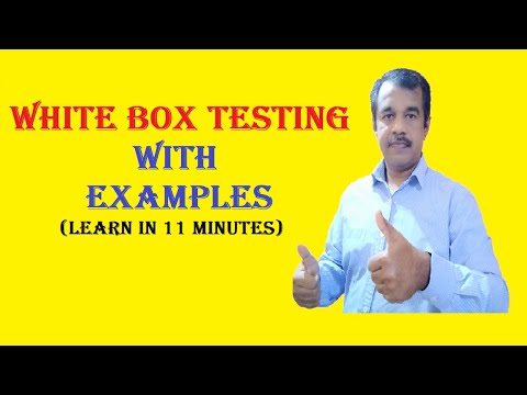 white box testing with examples explanation in software testing | testingshala