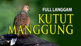 Download lagu FULL LANGGAM KUTUT MANGGUNG CAMPURSARI KONDANG MUR... mp3