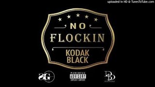 No Flocking KINGKOBY