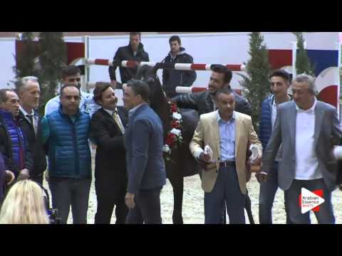 1ST-N.26 SIDDRA AH - Milan 2016 - Fillies Championship (Class 16)