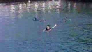 me with the dolphins