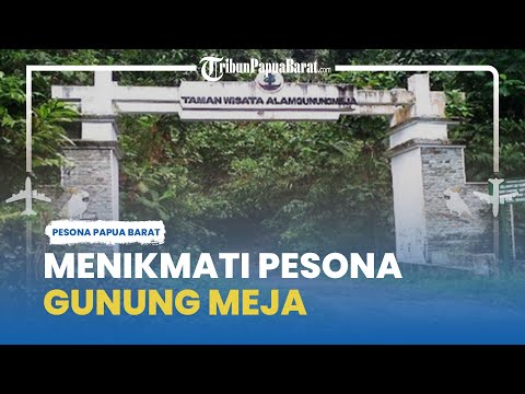 Menikmati Pesona Gunung Meja, Rimbunnya Hutan di Tengah Wilayah Manokwari