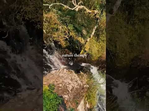 Santa Catarina - Urubici therapy
