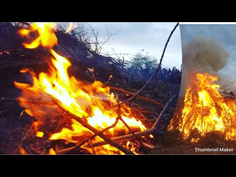 Walpurgis night 2018 In Fornudden