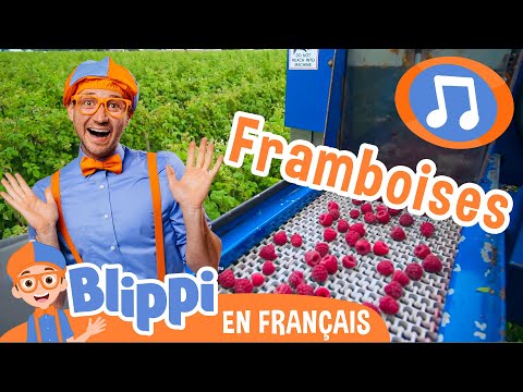 Framboises | 🎵Blippi en Français -  Chansons pour enfants