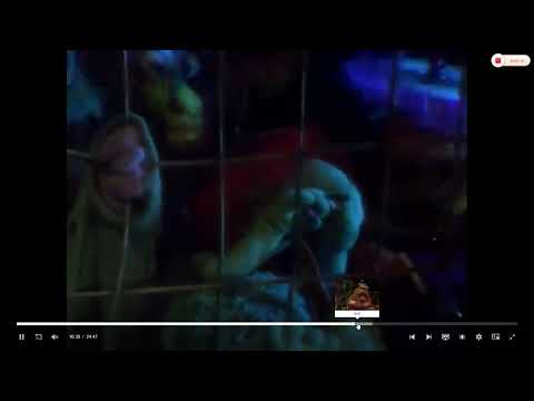 Boober Fraggle Playing to "Wheels" on his Harmonica