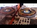 Dennis Brown & Cutty Ranks - No more will I roam