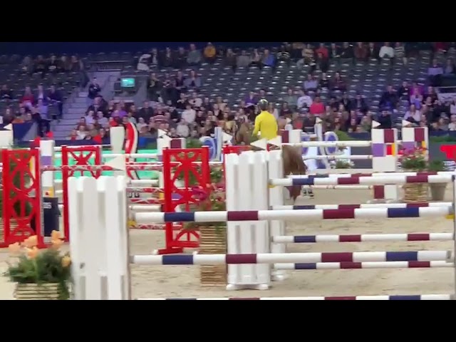 Half-brother of the mother is the CSI 1.55m jumping Stallion Fifty Fifty de Semilly with rider Yuri Mansur.